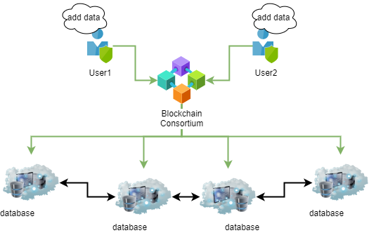 blockchain database